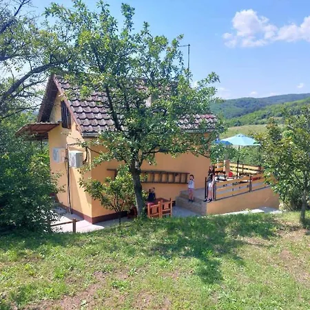 Marley Kuca Za Odmor Apartment Besenovacki Prnjavor Exterior photo